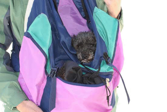 Venus-Rucksack
