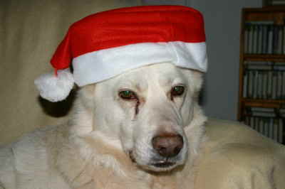 WeihnachtenFelix