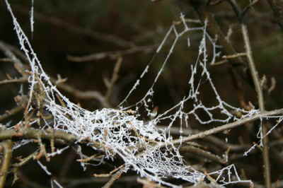 Winterimpressionen1