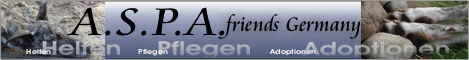 banner_aspafriends02 banner_aspafriends02