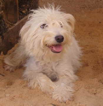 blanca2 blanca2
