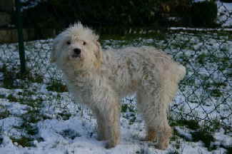 maja_schnee maja_schnee