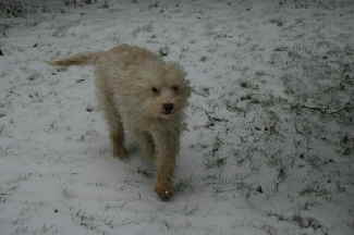 maja_schnee2 maja_schnee2