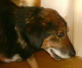 max00102 max00102