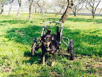 mona_rolli02 mona_rolli02
