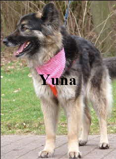 yuna04 yuna04