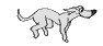 hund01202