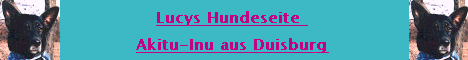 lucys_neuer_banner lucys_neuer_banner