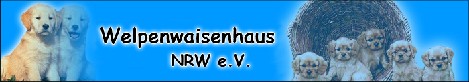 welpenwaisenhaus_banner welpenwaisenhaus_banner